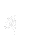 Blue-Aspen-Logo-200w