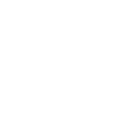 VIV-logo-200w
